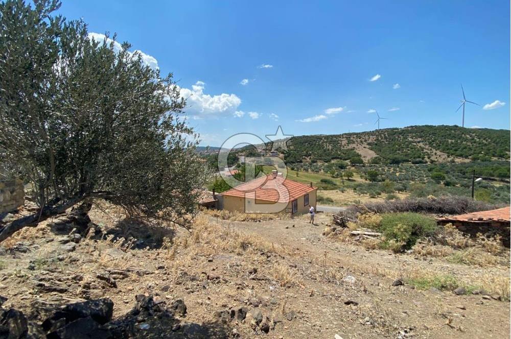 AYVALIK KIRCALAR KÖYİÇİNDE 266 m² ARSA