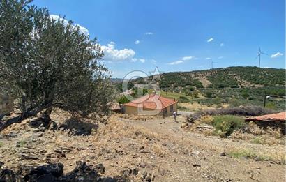 AYVALIK KIRCALAR KÖYİÇİNDE 266 m² ARSA