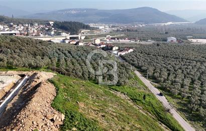 GEMLİK ENGÜRÜCÜK'TE DEPO/ANTREPO İMARLI LOJİSTİK YATIRIM ARSASI