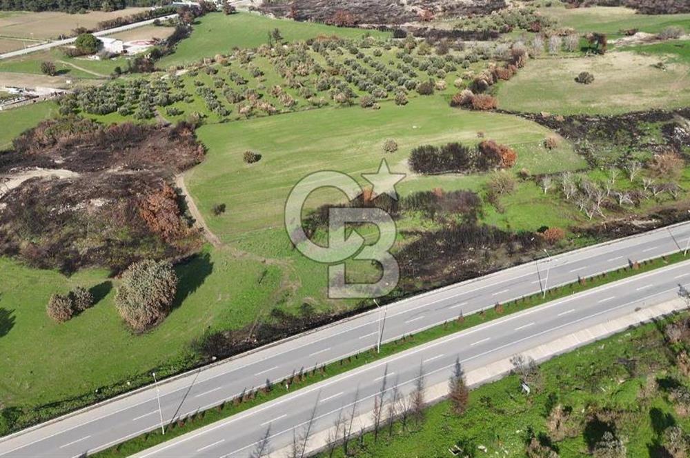 ÇANAKKALE MERKEZ ÇINARLI BOĞAZ GÖREN SATILIK KOOPERATİF HİSSESİ