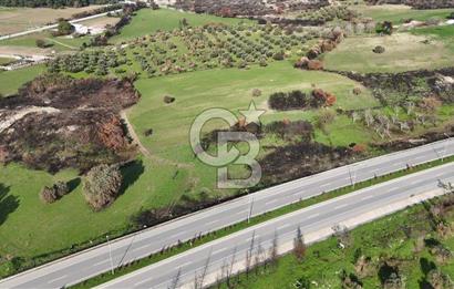 ÇANAKKALE MERKEZ ÇINARLI BOĞAZ GÖREN SATILIK KOOPERATİF HİSSESİ