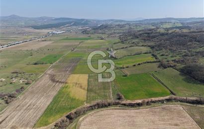 CB KİNG'DEN İVRİNDİ/GÖKÇEYAZI MAHALLESİ 3854 m² SATILIK TARLA