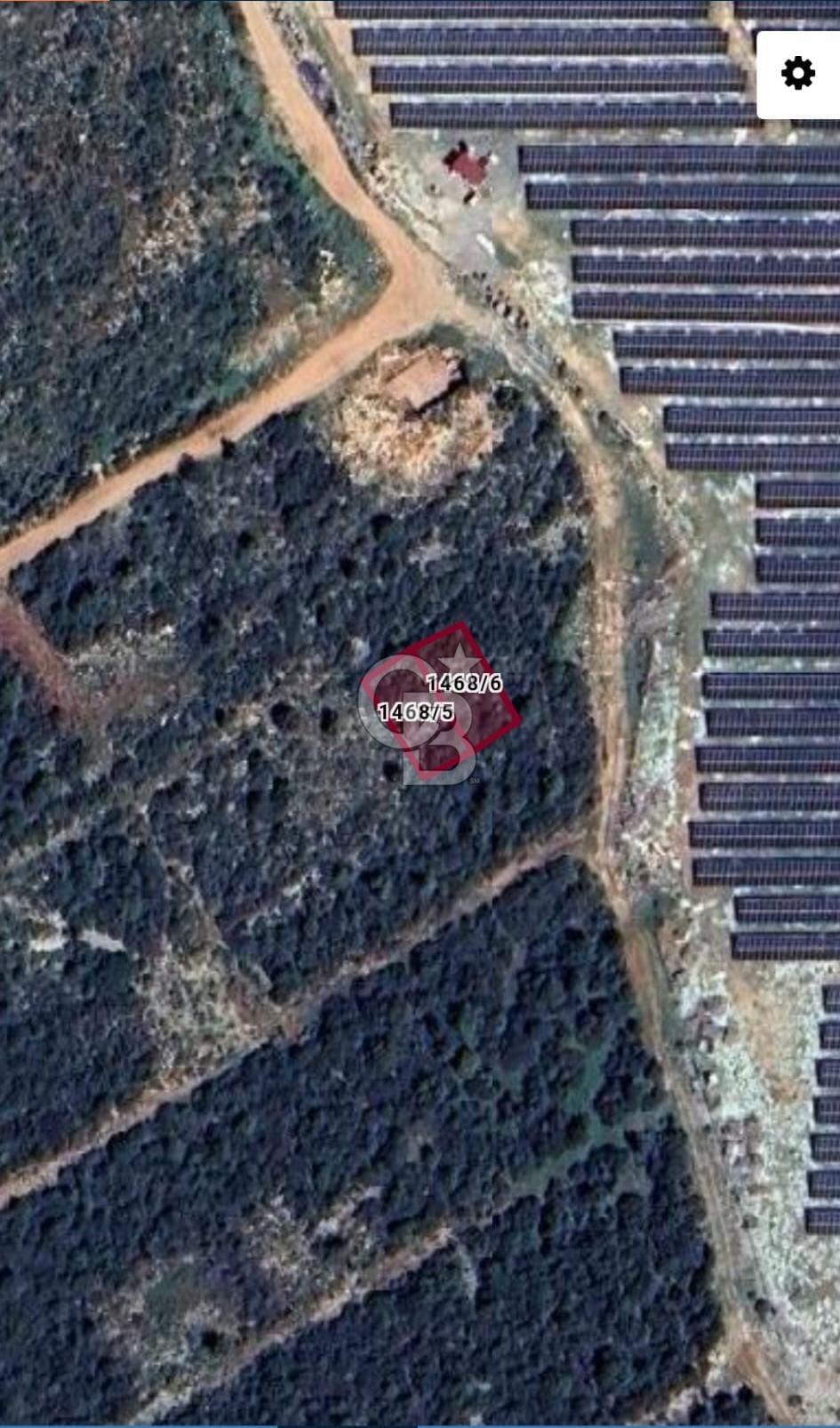 Aydın,Didim,Ak-Yeniköy'de imarlı arsa