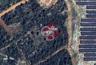 Aydın,Didim,Ak-Yeniköy'de imarlı arsa - 8 - 337757