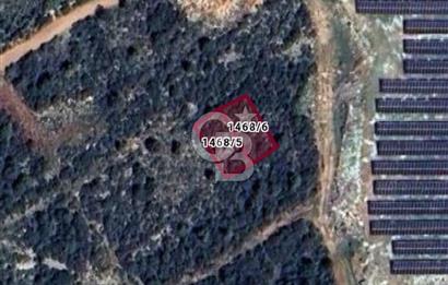 Aydın,Didim,Ak-Yeniköy'de imarlı arsa