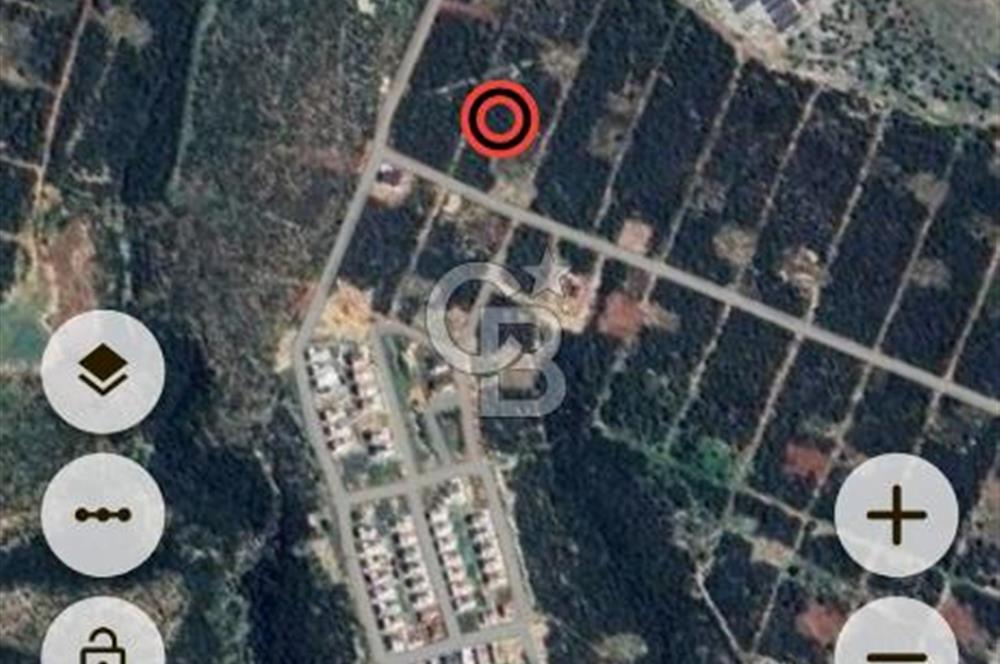 Aydın,Didim,Ak-Yeniköy'de imarlı arsa