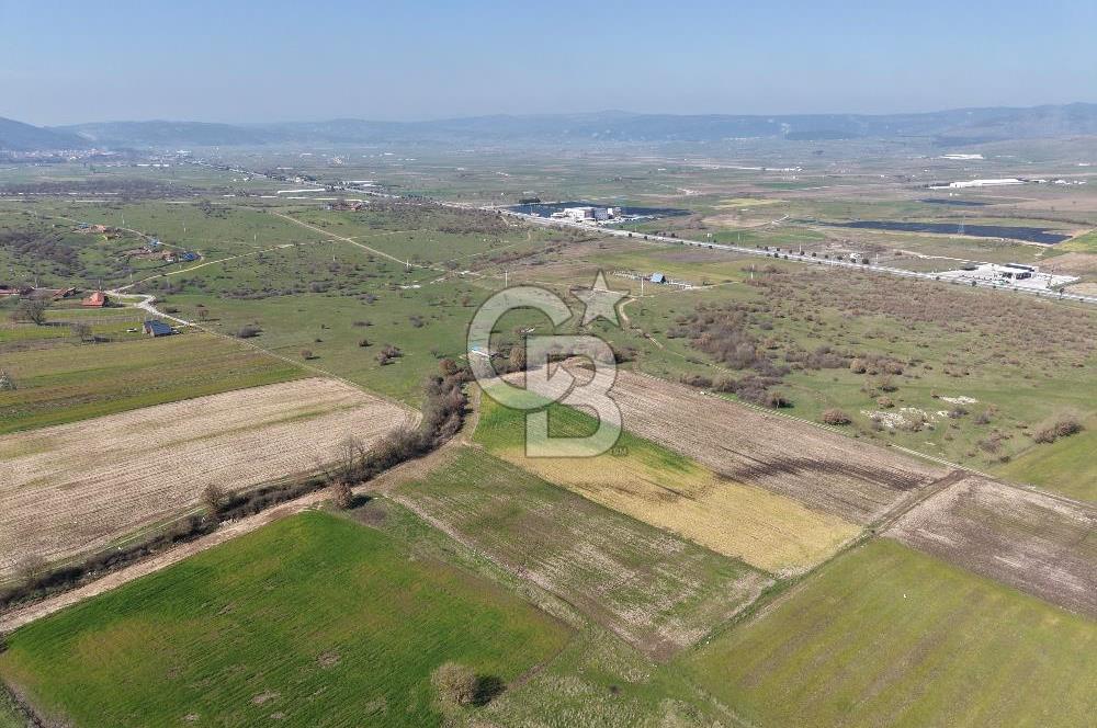CB KİNG'DEN İVRİNDİ/GÖKÇEYAZI MAHALLESİ 3854 m² SATILIK TARLA