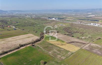 CB KİNG'DEN İVRİNDİ/GÖKÇEYAZI MAHALLESİ 3854 m² SATILIK TARLA