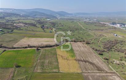 CB KİNG'DEN İVRİNDİ/GÖKÇEYAZI MAHALLESİ 3854 m² SATILIK TARLA
