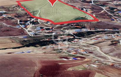 Haymana Culuk Köyü Yerleşim İçinde 93 Dönüm Satılık Tarla