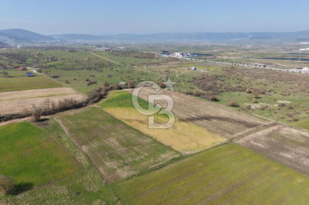 CB KİNG'DEN İVRİNDİ/GÖKÇEYAZI MAHALLESİ 3854 m² SATILIK TARLA