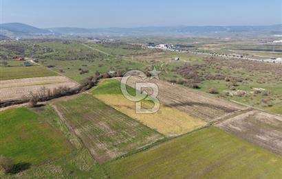 CB KİNG'DEN İVRİNDİ/GÖKÇEYAZI MAHALLESİ 3854 m² SATILIK TARLA