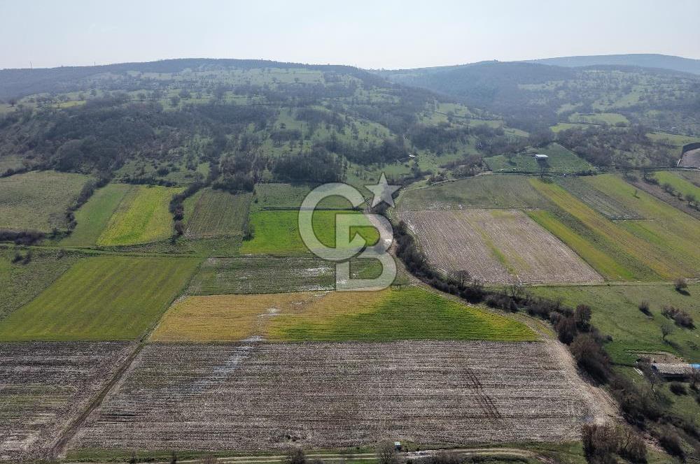 CB KİNG'DEN İVRİNDİ/GÖKÇEYAZI MAHALLESİ 3854 m² SATILIK TARLA