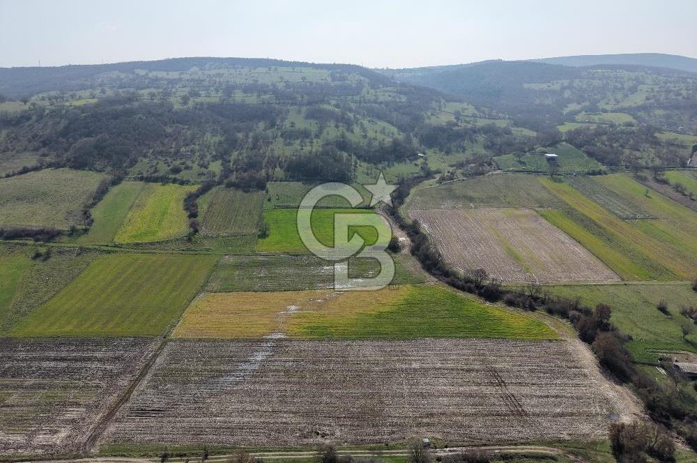 CB KİNG'DEN İVRİNDİ/GÖKÇEYAZI MAHALLESİ 3854 m² SATILIK TARLA