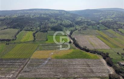 CB KİNG'DEN İVRİNDİ/GÖKÇEYAZI MAHALLESİ 3854 m² SATILIK TARLA