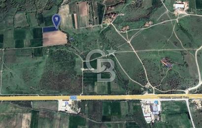 CB KİNG'DEN İVRİNDİ/GÖKÇEYAZI MAHALLESİ 3854 m² SATILIK TARLA