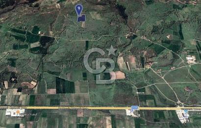 CB KİNG'DEN İVRİNDİ/GÖKÇEYAZI MAHALLESİ 10700 m² SATILIK TARLA