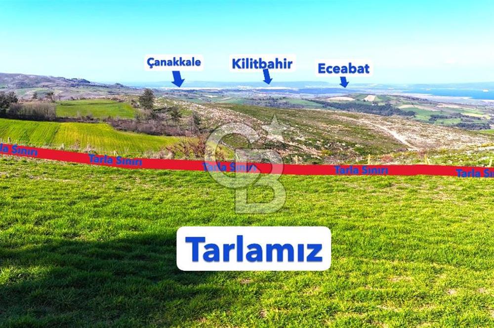 Çanakkale Kızılkeçilide Full Boğaz ve Köprü Manzaralı Tarla