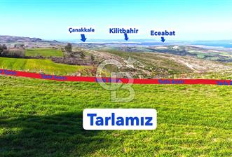 Çanakkale Kızılkeçilide Full Boğaz ve Köprü Manzaralı Tarla - 2 - 337771