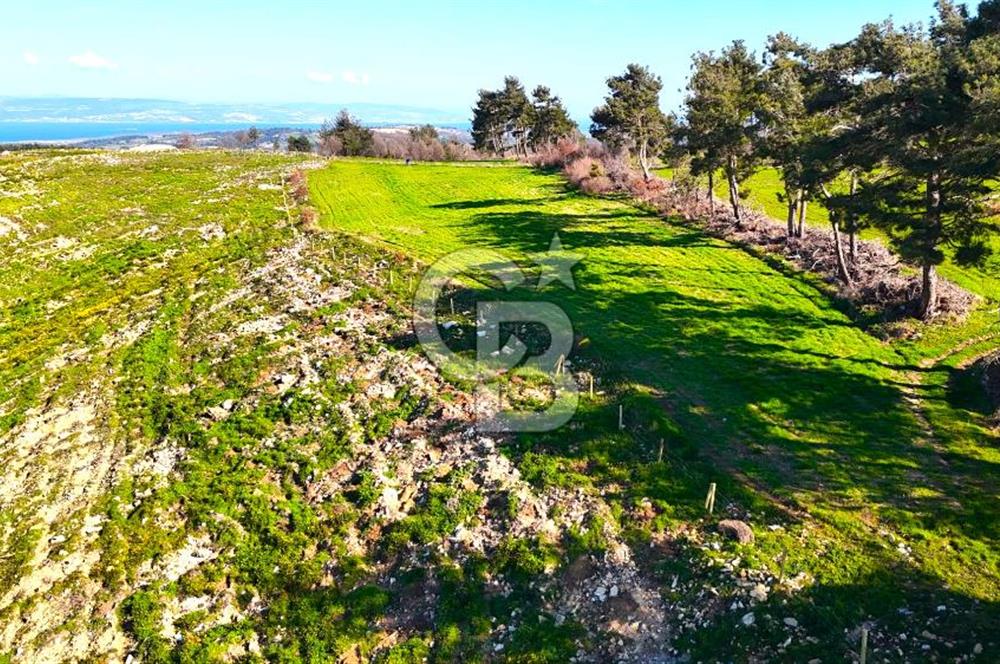 Çanakkale Kızılkeçilide Full Boğaz ve Köprü Manzaralı Tarla