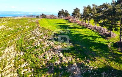 Çanakkale Kızılkeçilide Full Boğaz ve Köprü Manzaralı Tarla