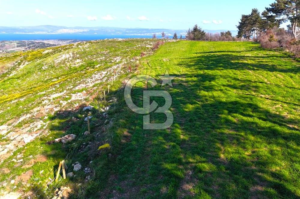 Çanakkale Kızılkeçilide Full Boğaz ve Köprü Manzaralı Tarla