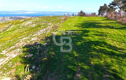 Çanakkale Kızılkeçilide Full Boğaz ve Köprü Manzaralı Tarla