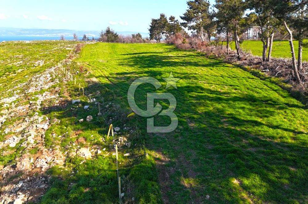 Çanakkale Kızılkeçilide Full Boğaz ve Köprü Manzaralı Tarla