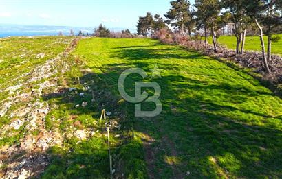 Çanakkale Kızılkeçilide Full Boğaz ve Köprü Manzaralı Tarla