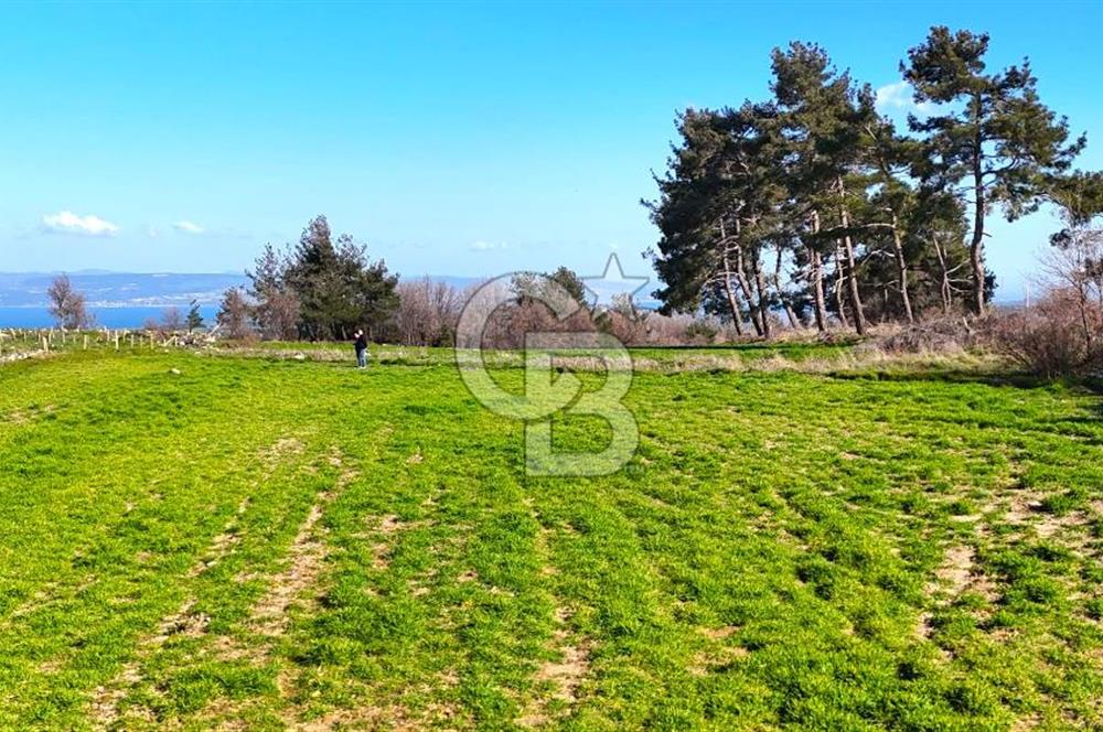 Çanakkale Kızılkeçilide Full Boğaz ve Köprü Manzaralı Tarla