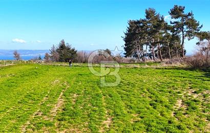 Çanakkale Kızılkeçilide Full Boğaz ve Köprü Manzaralı Tarla