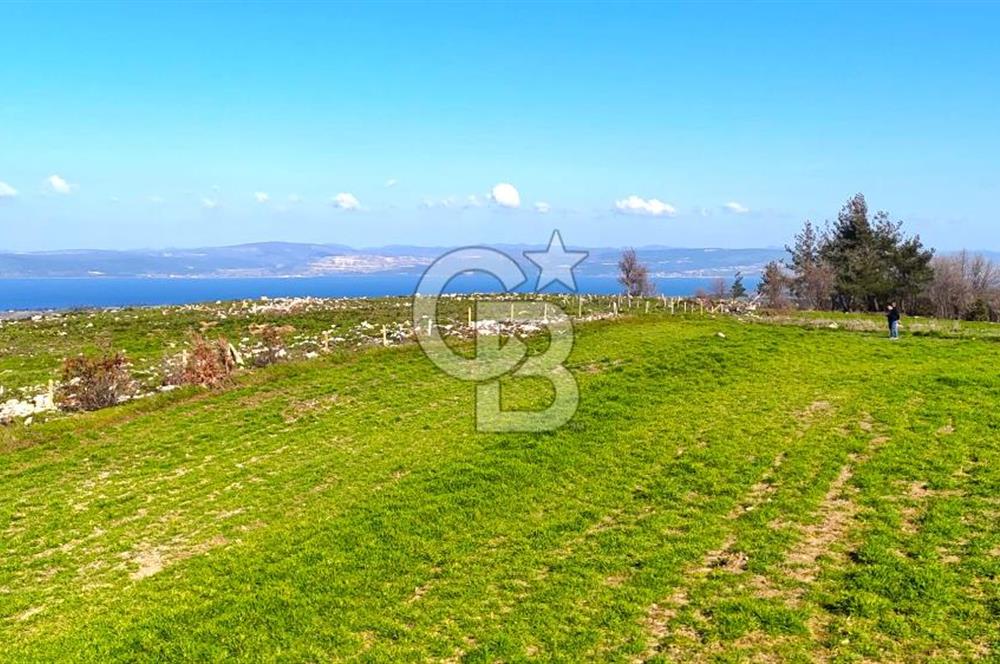 Çanakkale Kızılkeçilide Full Boğaz ve Köprü Manzaralı Tarla