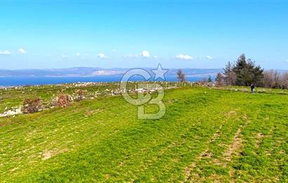 Çanakkale Kızılkeçilide Full Boğaz ve Köprü Manzaralı Tarla