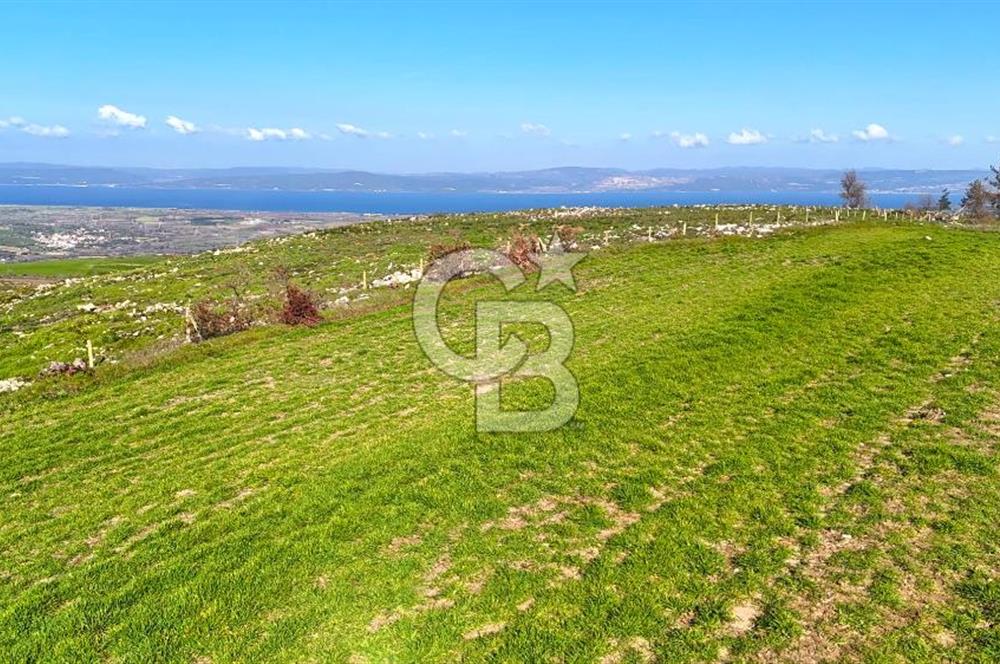 Çanakkale Kızılkeçilide Full Boğaz ve Köprü Manzaralı Tarla