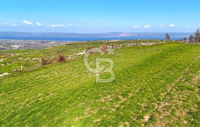 Çanakkale Kızılkeçilide Full Boğaz ve Köprü Manzaralı Tarla