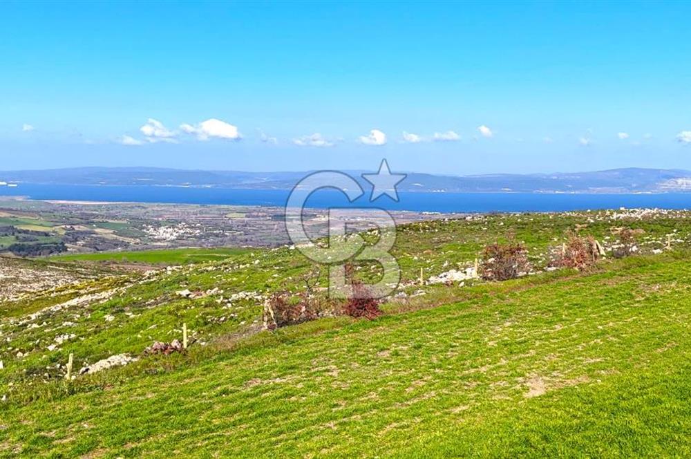 Çanakkale Kızılkeçilide Full Boğaz ve Köprü Manzaralı Tarla