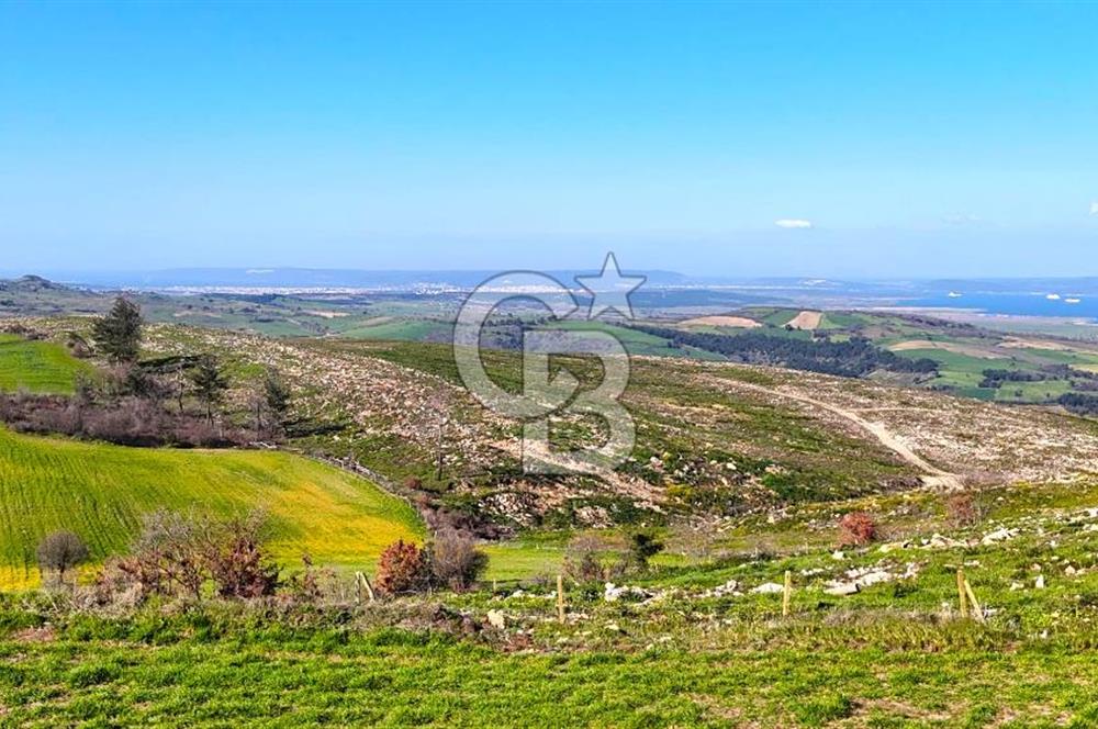 Çanakkale Kızılkeçilide Full Boğaz ve Köprü Manzaralı Tarla