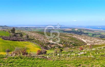 Çanakkale Kızılkeçilide Full Boğaz ve Köprü Manzaralı Tarla