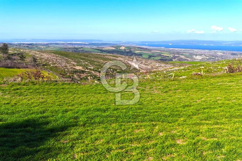 Çanakkale Kızılkeçilide Full Boğaz ve Köprü Manzaralı Tarla