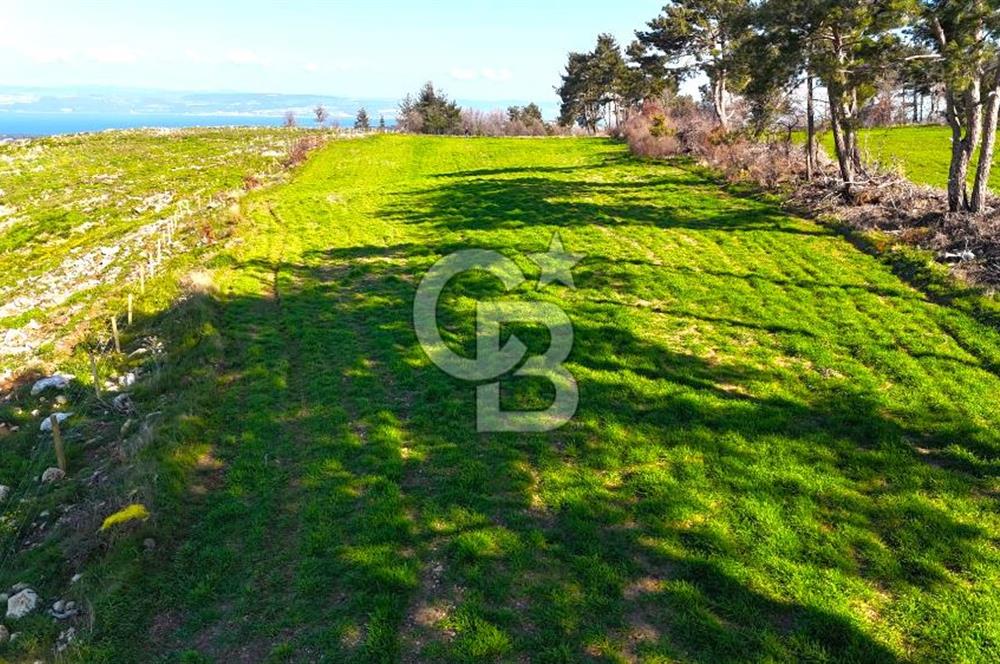 Çanakkale Kızılkeçilide Full Boğaz ve Köprü Manzaralı Tarla