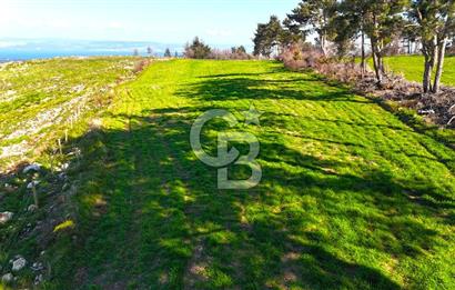 Çanakkale Kızılkeçilide Full Boğaz ve Köprü Manzaralı Tarla