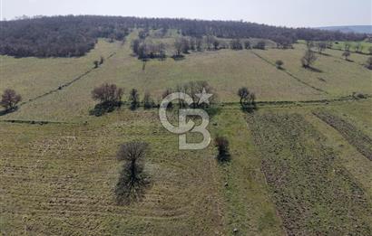 CB KİNG'DEN İVRİNDİ/GÖKÇEYAZI MAHALLESİ 10700 m² SATILIK TARLA