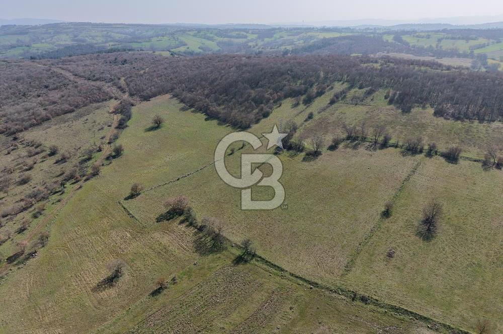 CB KİNG'DEN İVRİNDİ/GÖKÇEYAZI MAHALLESİ 10700 m² SATILIK TARLA