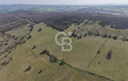 CB KİNG'DEN İVRİNDİ/GÖKÇEYAZI MAHALLESİ 10700 m² SATILIK TARLA
