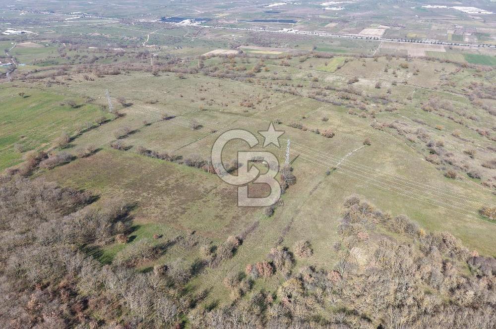 CB KİNG'DEN İVRİNDİ/GÖKÇEYAZI MAHALLESİ 10700 m² SATILIK TARLA