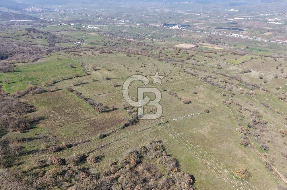 CB KİNG'DEN İVRİNDİ/GÖKÇEYAZI MAHALLESİ 10700 m² SATILIK TARLA
