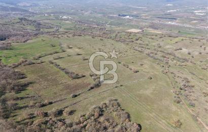 CB KİNG'DEN İVRİNDİ/GÖKÇEYAZI MAHALLESİ 10700 m² SATILIK TARLA