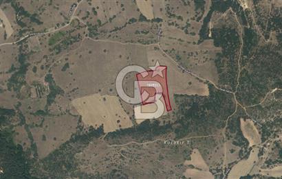 CB KİNG'DEN İVRİNDİ/GÖKÇEYAZI MAHALLESİ 10700 m² SATILIK TARLA