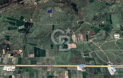 CB KİNG'DEN İVRİNDİ/GÖKÇEYAZI MAHALLESİ 10700 m² SATILIK TARLA
