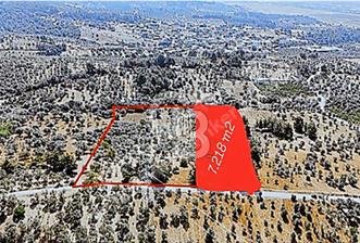 KEMALPAŞA ANSIZCA'DA SATILIK 7.218 m2 ZEYTİNLİK - 7 - 337747